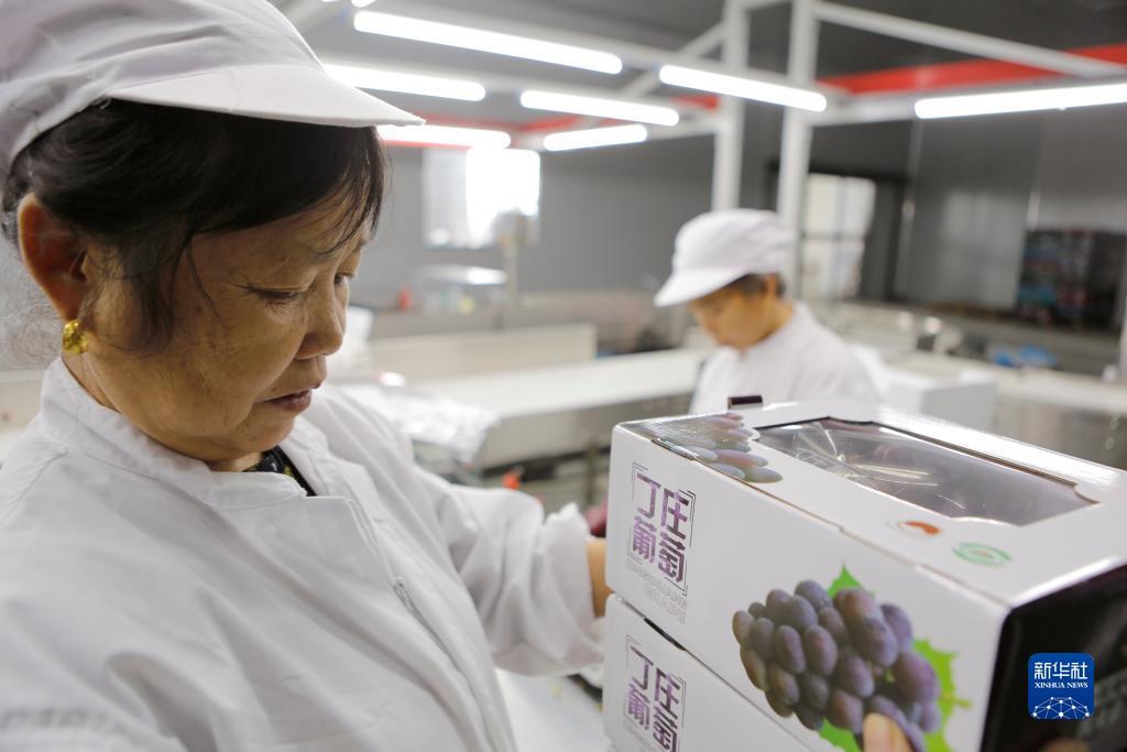 彩娱乐官方网站